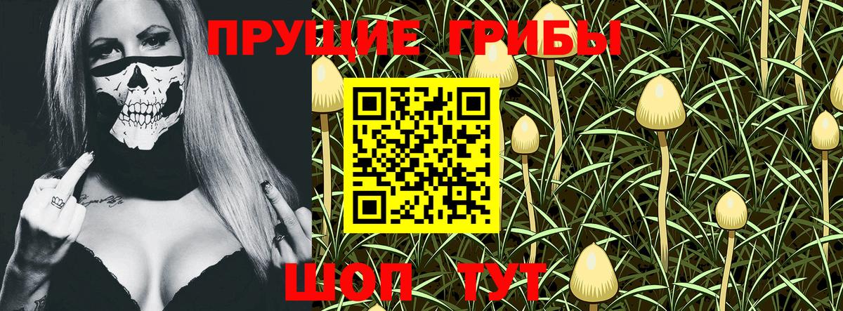 Псилоцибиновые грибы Magic Shrooms  Вход с VPN  Галлюциногенные грибы мицелий  Юрга 